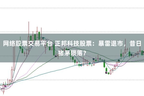 网络股票交易平台 正邦科技股票：暴雷退市，昔日猪茅陨落？