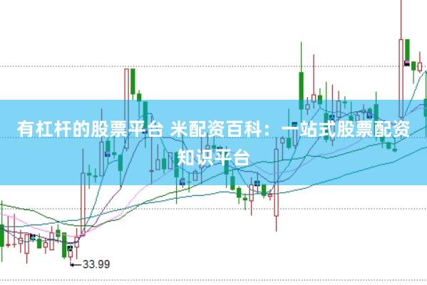 有杠杆的股票平台 米配资百科：一站式股票配资知识平台