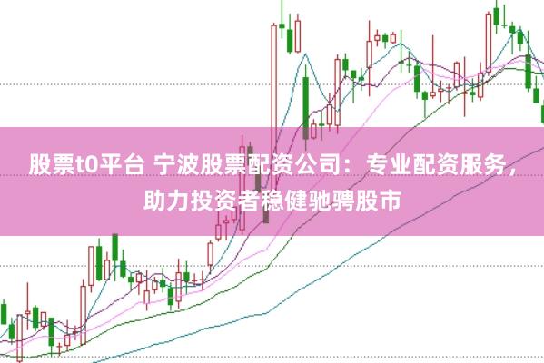 股票t0平台 宁波股票配资公司：专业配资服务，助力投资者稳健驰骋股市