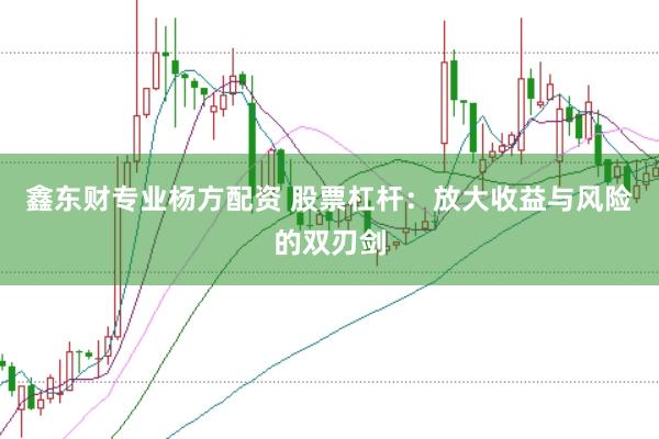 鑫东财专业杨方配资 股票杠杆：放大收益与风险的双刃剑