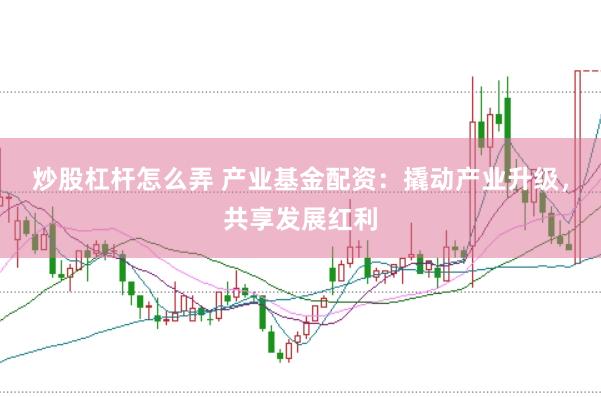 炒股杠杆怎么弄 产业基金配资：撬动产业升级，共享发展红利