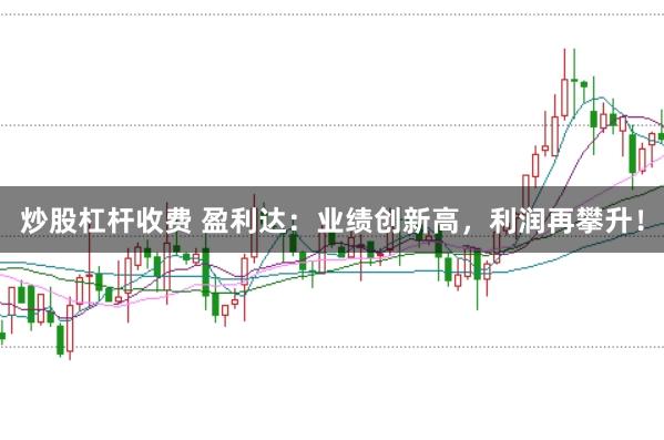 炒股杠杆收费 盈利达：业绩创新高，利润再攀升！