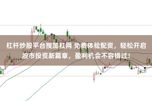杠杆炒股平台搜加杠网 免费体验配资，轻松开启股市投资新篇章，盈利机会不容错过！