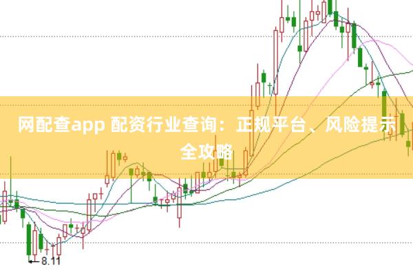 网配查app 配资行业查询：正规平台、风险提示全攻略