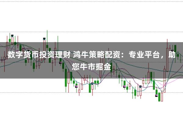 数字货币投资理财 鸿牛策略配资：专业平台，助您牛市掘金