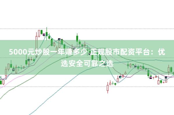 5000元炒股一年赚多少 正规股市配资平台：优选安全可靠之选