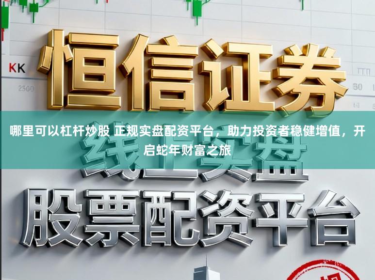哪里可以杠杆炒股 正规实盘配资平台，助力投资者稳健增值，开启蛇年财富之旅